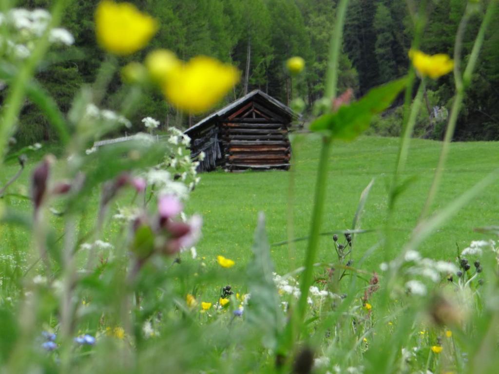 Hotel Silvretta Serfaus Bagian luar foto